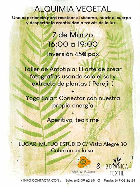 Alquimia vegetal Yoga Solar en Cabezon de la Sal Cantabria