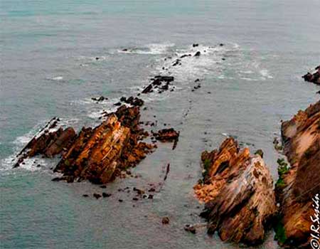 Rutas de los balleneros en Trasvia Comillas dirigidas por Naturea Cantabria