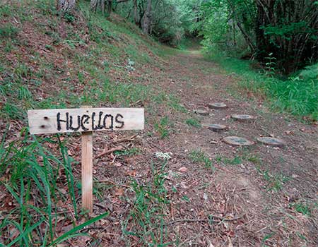 Naturea Cantabria Taller familiar