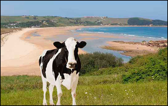 Trasvia Comillas Cantabria